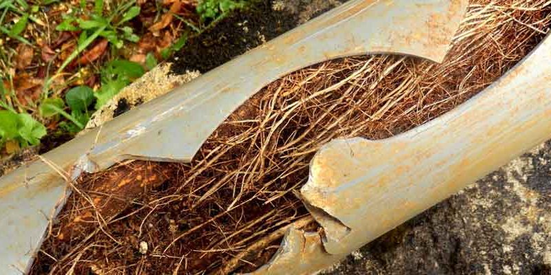 Pac-Plumbing-Sydney-Plumbers-1000x400-1